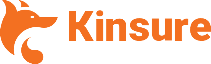 Kinsure